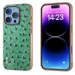 For iPhone 16 Pro Max ABEEL Electroplating Frame Genuine Leather Ostrich Texture Phone Case(Green)