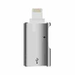 8 Pin to USB, USB-C / Type-C OTG Adapter(Silver)