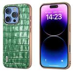 For iPhone 16 Pro Max ABEEL Electroplating Frame Crocodile Texture Genuine Leather Phone Case(Green)