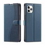 For iPhone 11 Pro Max Voltage Ultra-thin Dot Leather Phone Case(Blue)