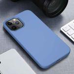 For iPhone 12 mini Starry Series Shockproof Straw Material + TPU Protective Case(Blue)