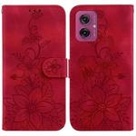 For Motorola Moto G55 Lily Embossed Leather Phone Case(Red)