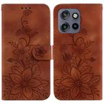 For Motorola Edge 50 Neo 5G Global Lily Embossed Leather Phone Case(Brown)