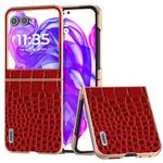 For Motorola Razr 50 ABEEL Electroplated Frame Genuine Leather Crocodile Pattern Phone Case(Red)