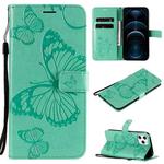 For iPhone 12 Pro Max 3D Butterfly Embossed Pattern Horizontal Flip Leather Case with Holder & Card Slot & Wallet & Lanyard(Green)