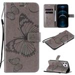 For iPhone 12 Pro Max 3D Butterfly Embossed Pattern Horizontal Flip Leather Case with Holder & Card Slot & Wallet & Lanyard(Grey)