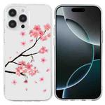 For iPhone 16 Pro Colorful Painting Pattern TPU Phone Case(Plum Blossom)