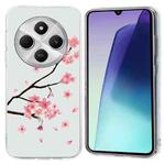 For Redmi 14C 4G Colorful Painting Pattern TPU Phone Case(Plum Blossom)