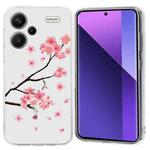 For Redmi Note 13 Pro+ 5G Colorful Painting Pattern TPU Phone Case(Plum Blossom)