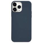For iPhone 11 Pro Litchi Pattern Silver Edge Camera Frame Material Phone Case(Blue)