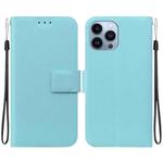 For iPhone 13 Pro Ultra-thin Voltage Magnetic Buckle Leather Phone Case(Green)