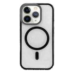 For iPhone 11 Pro Max Frosted MagSafe PC Phone Case(Black)