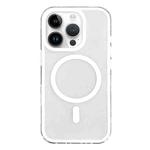 For iPhone 13 Pro Frosted MagSafe PC Phone Case(White)