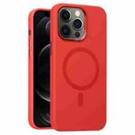 For iPhone 12 Pro Metal Lens Frame Liquid Silicone MagSafe Phone Case(Red)