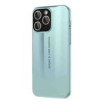 For iPhone 11 Pro Max Vegetarian Leather Series Skin Feel Full Coverage Phone Case(Green)