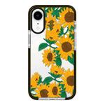 For iPhone XR Simple Illustration Pattern Full Coverage Phone Case(Sunflowers B)