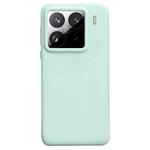 For Xiaomi 15 Pro Liquid Silicone Skin-friendly Shockproof Phone Case(Green)