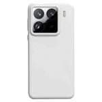 For Xiaomi 15 Pro Liquid Silicone Skin-friendly Shockproof Phone Case(Antique White)