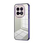 For vivo iQOO 13 Transparent Plating Fine Hole Phone Case(Purple)
