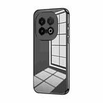 For vivo iQOO 13 Transparent Plating Fine Hole Phone Case(Black)