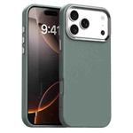 For iPhone 17 Pro Carbon Fiber Series IMD Phone Case(Grey)
