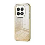 For vivo iQOO 13 Gradient Glitter Powder Electroplated Phone Case(Gold)