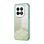 For vivo iQOO 13 Gradient Glitter Powder Electroplated Phone Case(Green)
