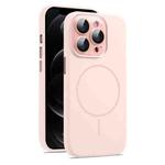 For iPhone 12 Pro Max AG Fine Hole Liquid Silicone MagSafe Magnetic Phone Case(Pink)