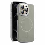 For iPhone 12 Pro Max AG Fine Hole Liquid Silicone MagSafe Magnetic Phone Case(Titanium Gray)