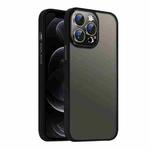 For iPhone 12 Pro Nano Semi-transparent Frosted Skin Feel Phone Case(Black)