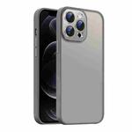 For iPhone 12 Pro Max Nano Semi-transparent Frosted Skin Feel Phone Case(Titanium Gray)