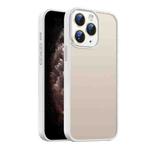 For iPhone 11 Pro Max Nano Semi-transparent Frosted Skin Feel Phone Case(Antique White)