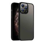 For iPhone 11 Pro Max Nano Semi-transparent Frosted Skin Feel Phone Case(Black)