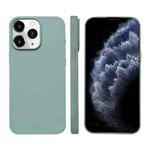 For iPhone 11 Pro Max Liquid Silicone Phone MagSafe Case(Light Green)