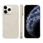 For iPhone 11 Pro Max Liquid Silicone Phone MagSafe Case(White)