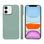 For iPhone 11 Liquid Silicone Phone MagSafe Case(Light Green)