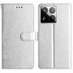 For Xiaomi 15 Pro Silk Texture Horizontal Flip Leather Phone Case(Silver)