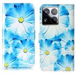 For Xiaomi 15 Pro Colored Drawing Marble Pattern Leather Phone Case(Blue Flower)