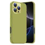 For iPhone 16 Pro Max Nano Lens Cover Liquid Silicone Phone Case(Fruit Green)