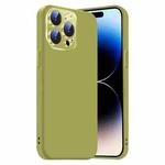 For iPhone 14 Pro Max Nano Lens Cover Liquid Silicone Phone Case(Fruit Green)