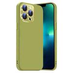 For iPhone 13 Pro Nano Lens Cover Liquid Silicone Phone Case(Fruit Green)