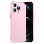 For iPhone 12 Pro Max Nano Lens Cover Liquid Silicone Phone Case(Pink)