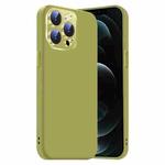 For iPhone 12 Pro Max Nano Lens Cover Liquid Silicone Phone Case(Fruit Green)