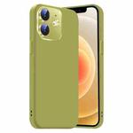 For iPhone 12 Nano Lens Cover Liquid Silicone Phone Case(Fruit Green)