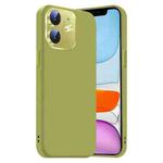 For iPhone 11 Nano Lens Cover Liquid Silicone Phone Case(Fruit Green)