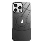 For iPhone 11 Pro Max Slim Color Contrast MagSafe PC Transparent Phone Case(Black)