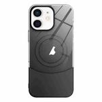 For iPhone 11 Slim Color Contrast MagSafe PC Transparent Phone Case(Black)