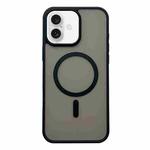 For iPhone 16 Frosted Skin Feel MagSafe Phone Case(Black)