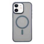 For iPhone 11 Frosted Skin Feel MagSafe Phone Case(Titanium Gray)