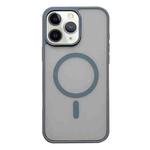 For iPhone 11 Pro Frosted Skin Feel MagSafe Phone Case(Titanium Gray)